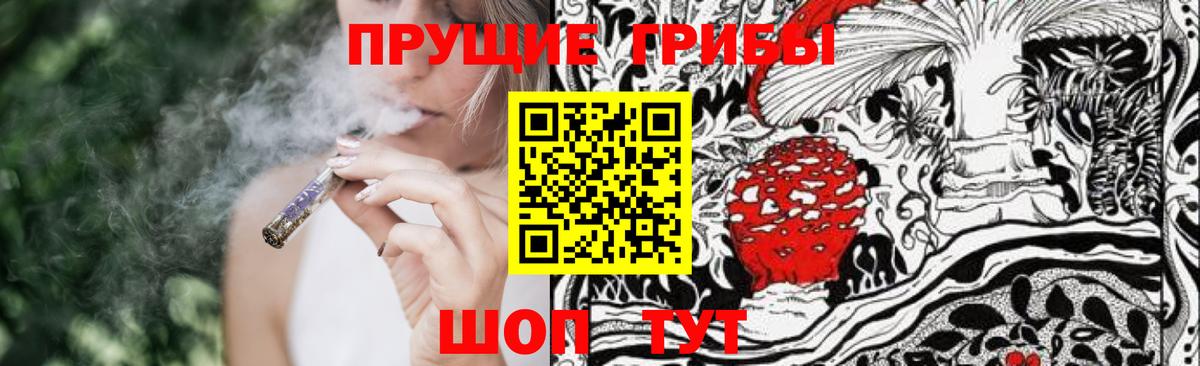 Псилоцибиновые грибы GOLDEN TEACHER  Вход с VPN  как найти   Псилоцибиновые грибы GOLDEN TEACHER  Каменск-Шахтинский 